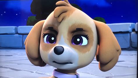 paw patrol skye logo|paw patrol skye angry picture.